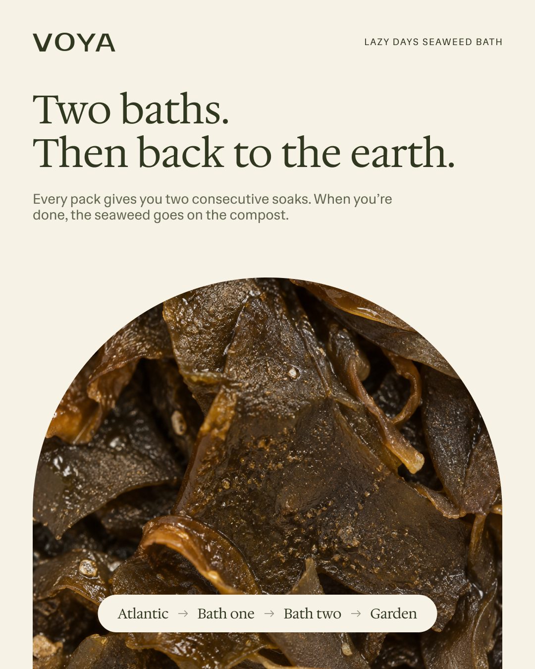 Two baths. Then back to the earth. Seaweed macro inside an arch